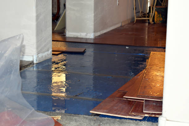 Professional Emergency Water Damage Restoration technician working in Cos Cob, CT